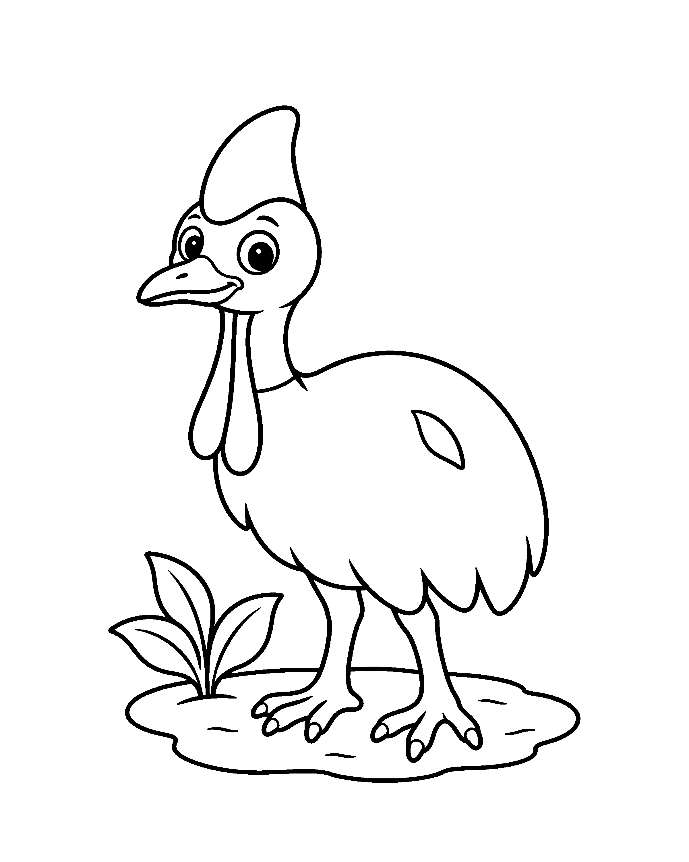 Southern Cassowary colouring outline