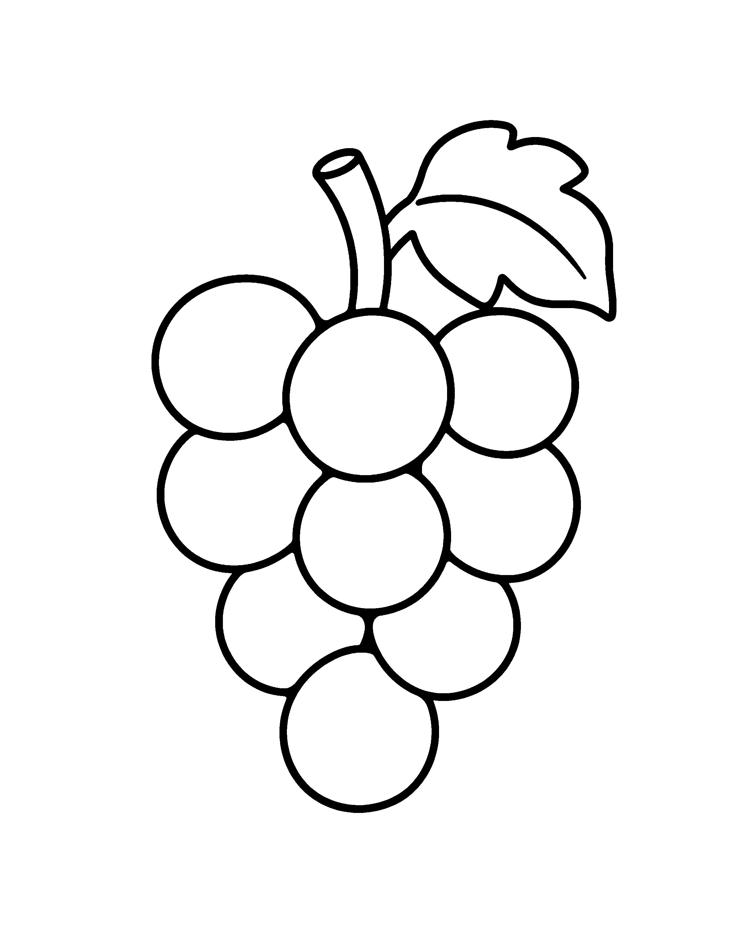 Grapes colouring outline
