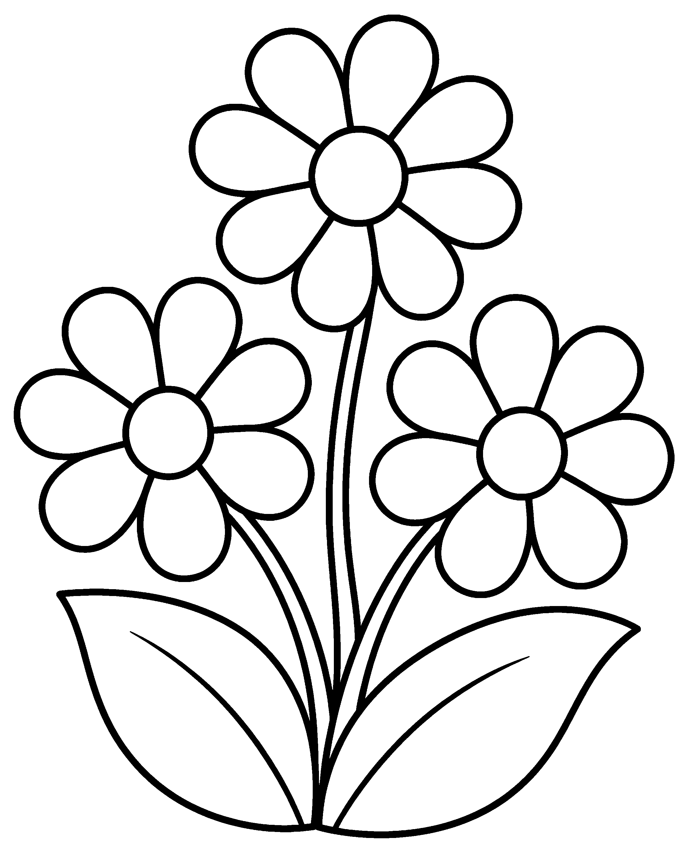 Daisy Bunch colouring outline