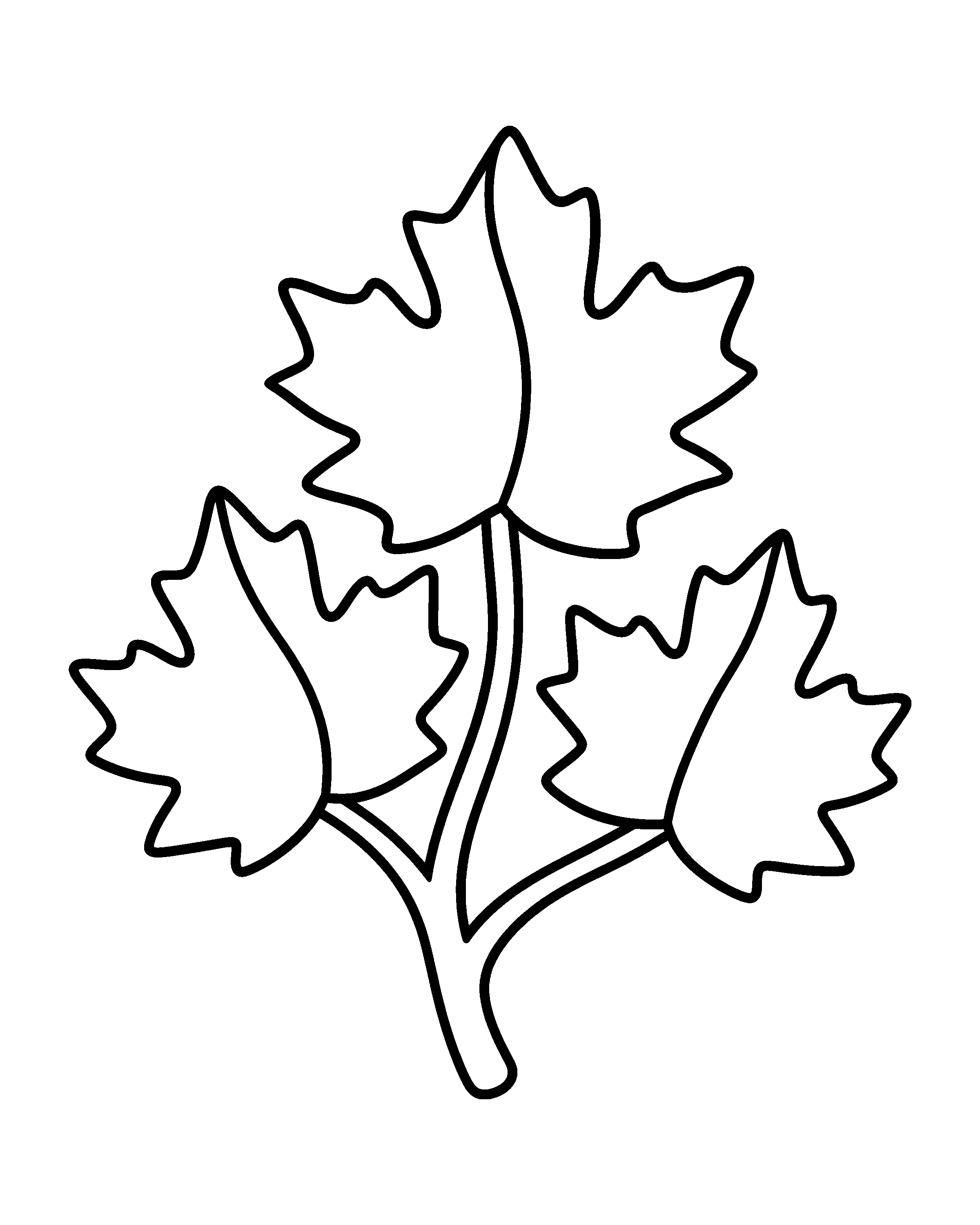 Autumn Maple Leaves colouring outline