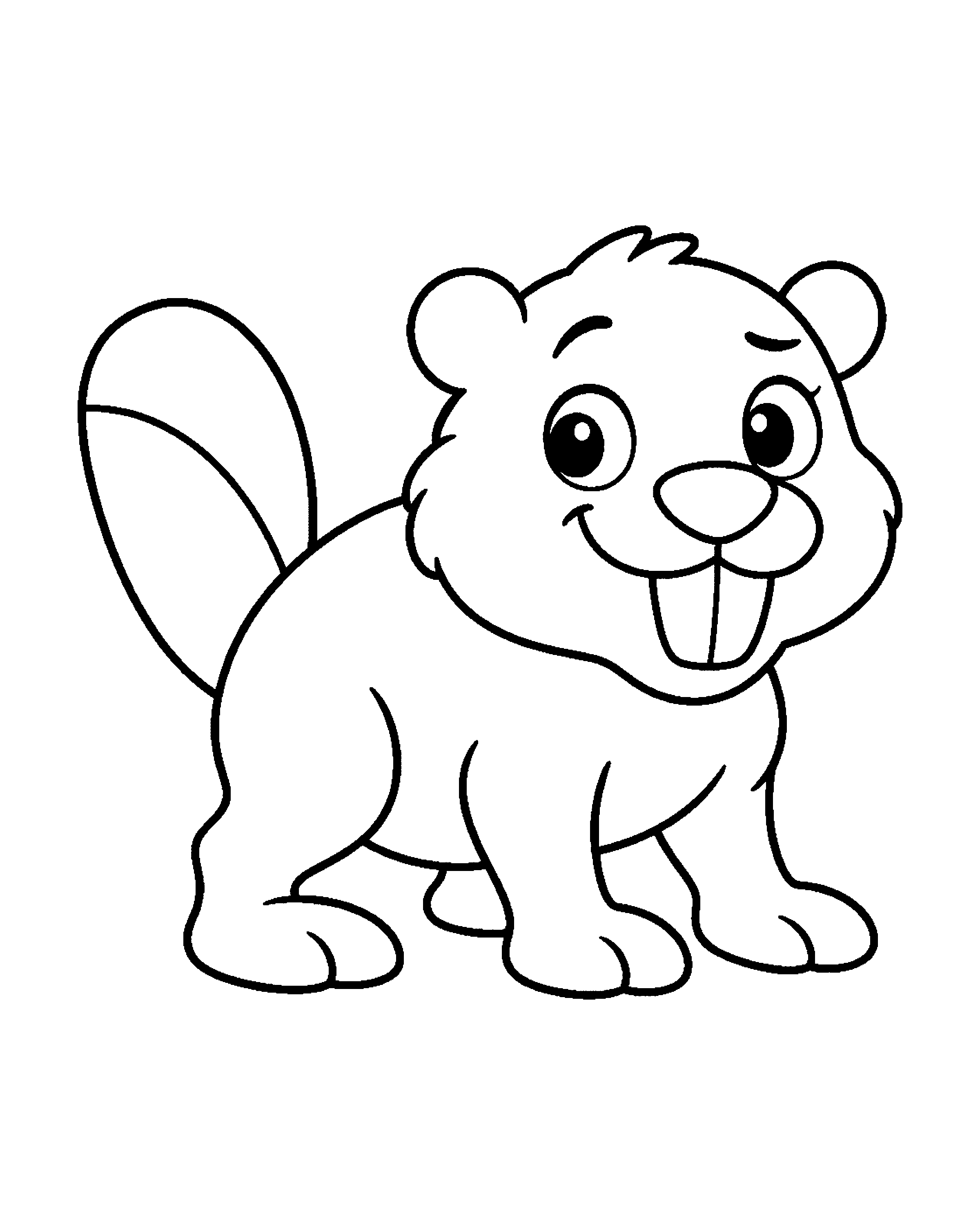 American Beaver colouring outline