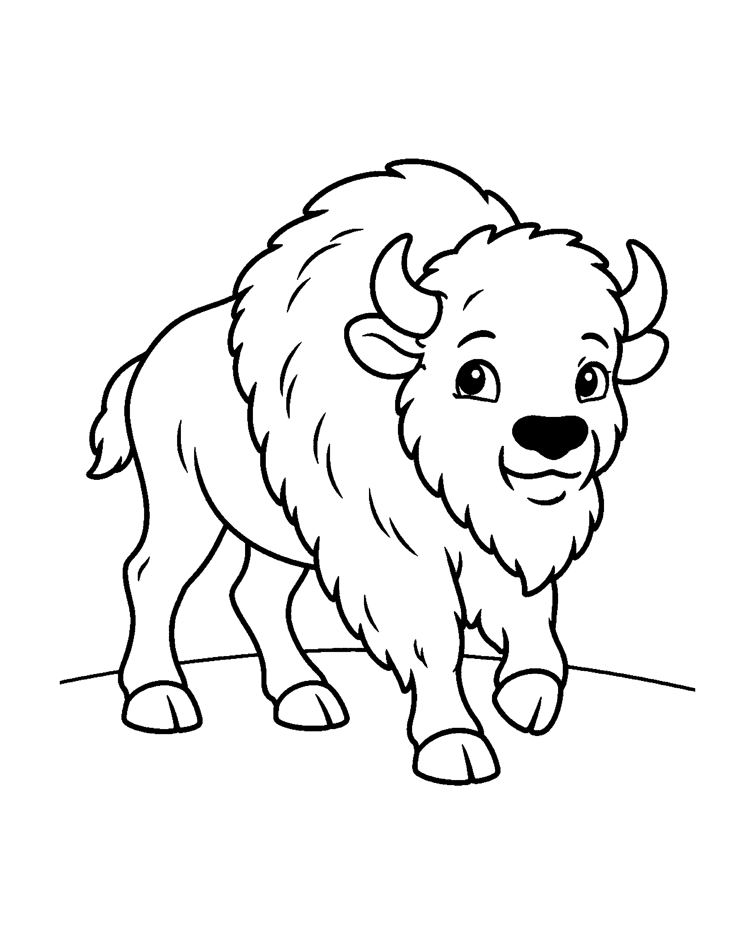 American Plains Bison colouring outline