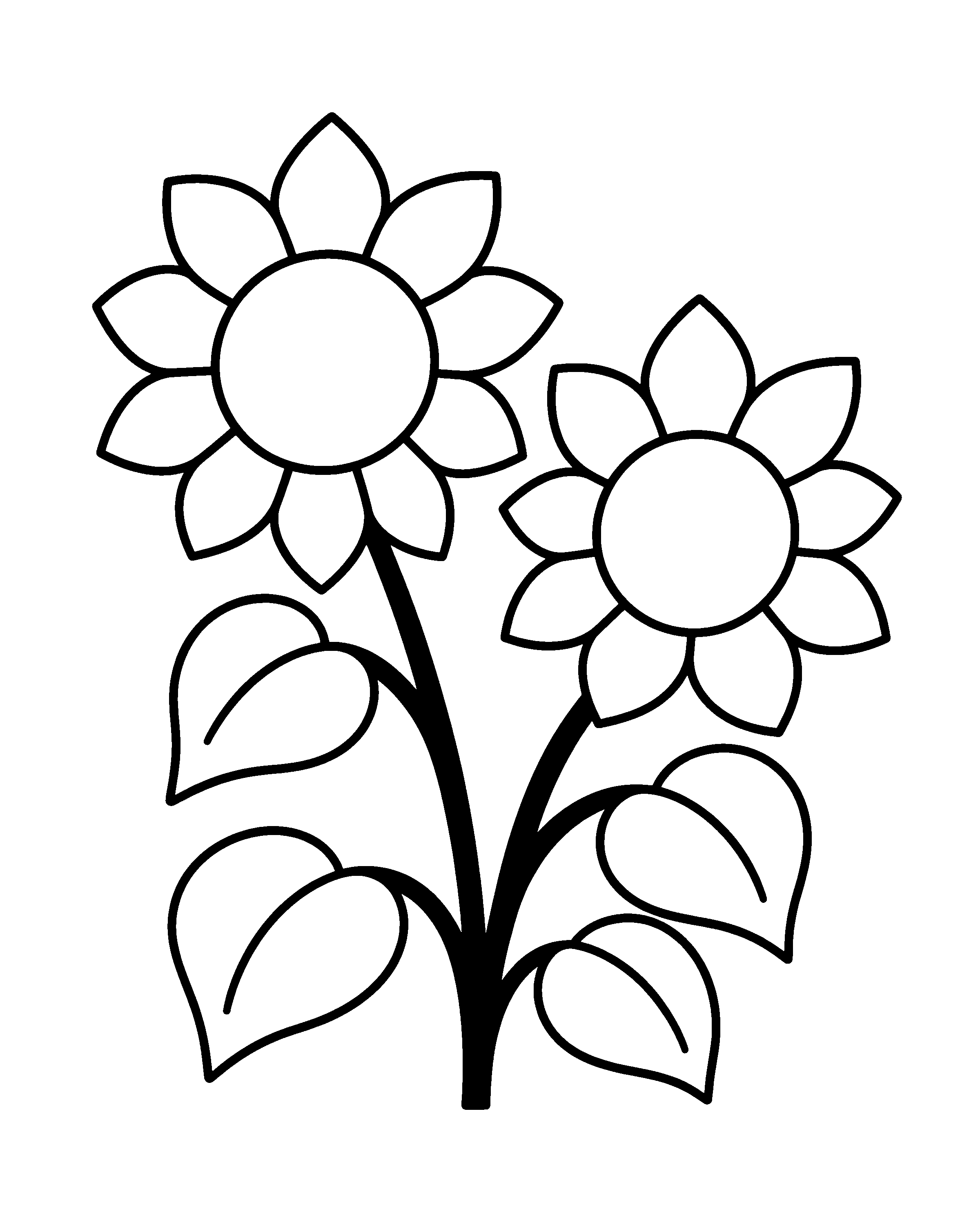 Common Sunflowers colouring outline