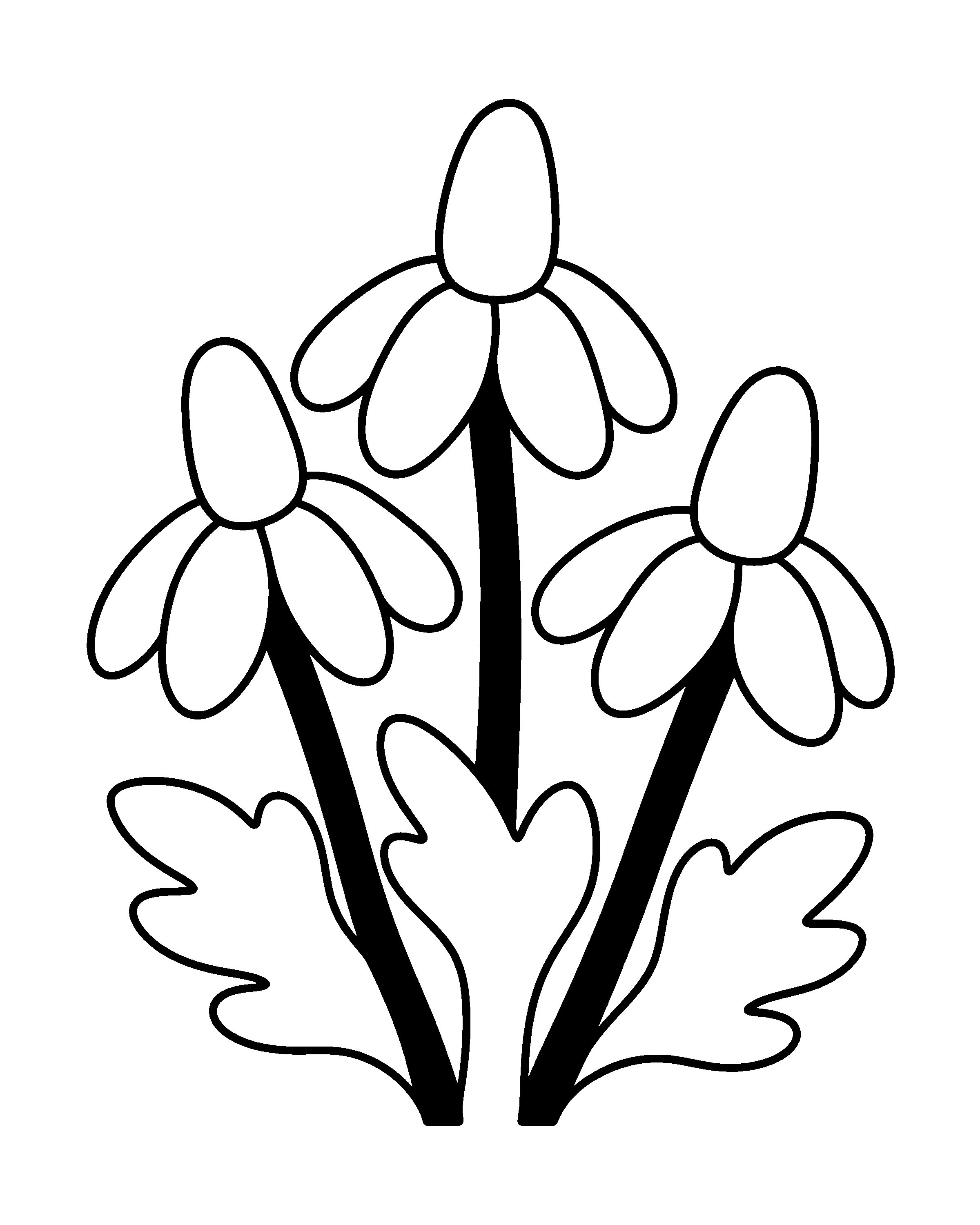 Prairie Coneflowers colouring outline