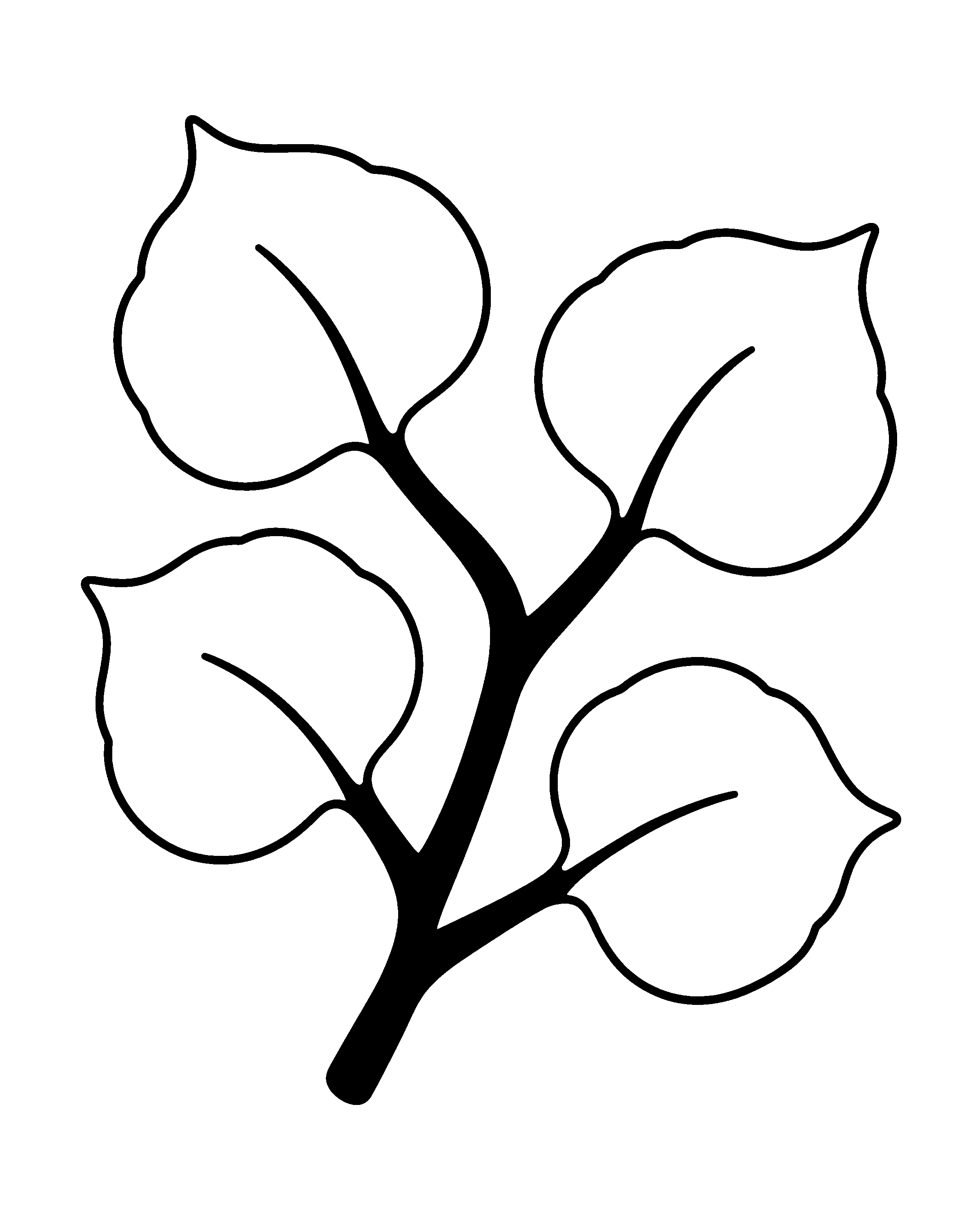 Quaking Aspen Leaves colouring outline