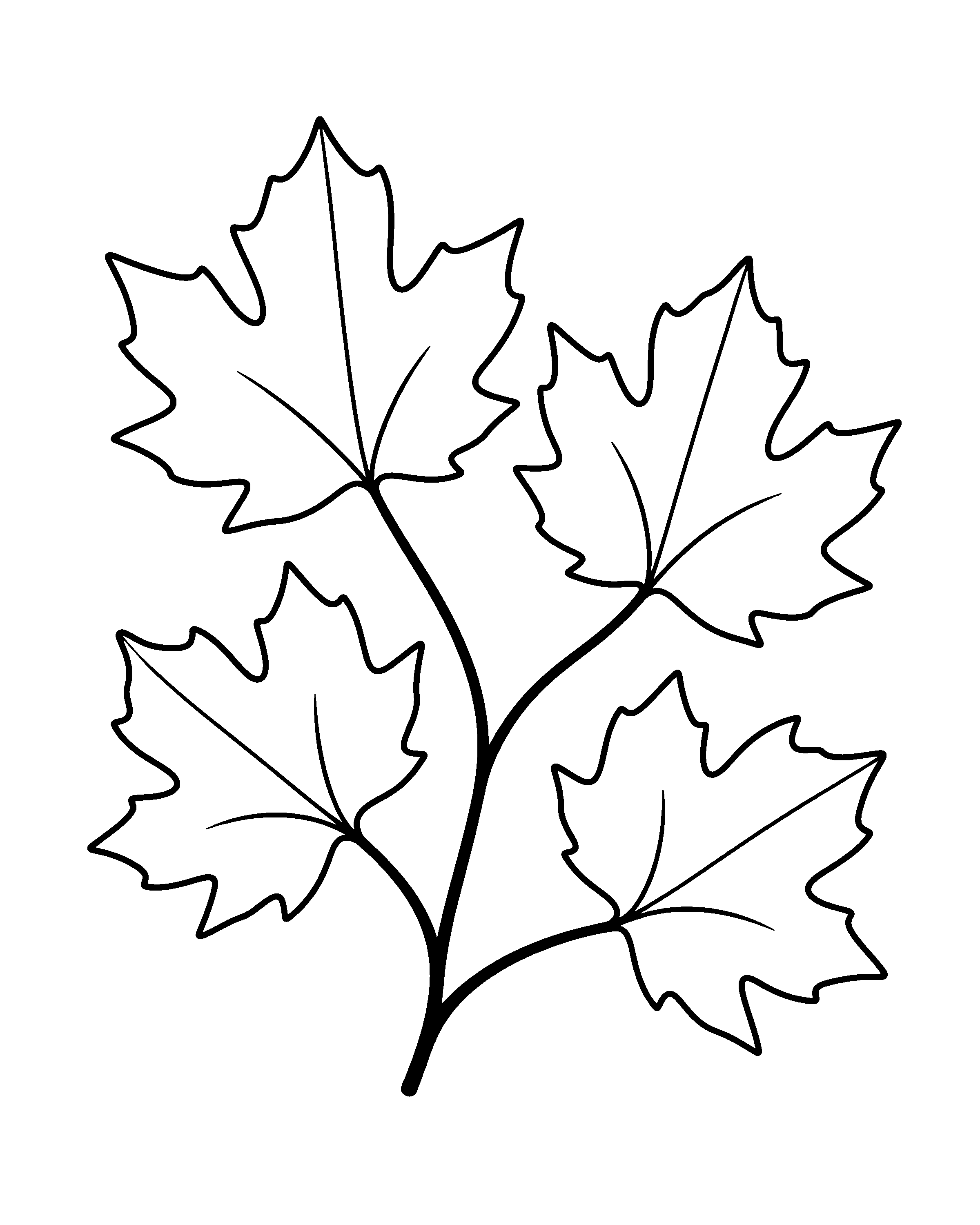 Sugar Maple Leaves colouring outline