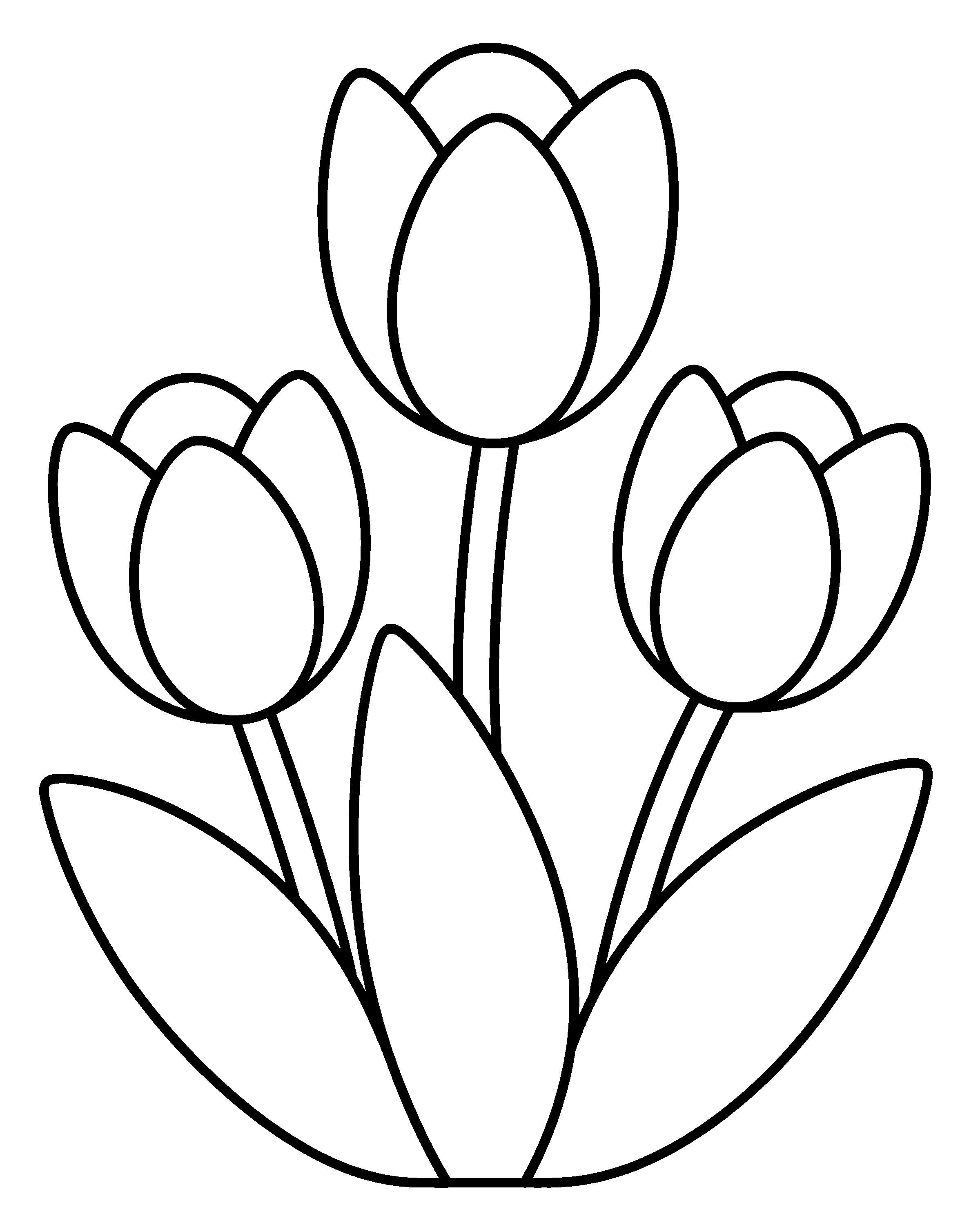 Tulip Trio colouring outline